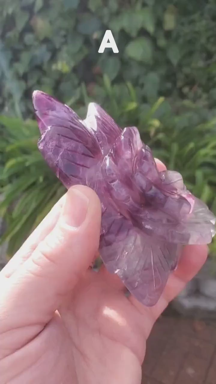Beautiful Rainbow Fluorite Rose - Mental Clarity, Stability, Concentration, Protection - Fluorite Healing Crystals Gemstone Statement