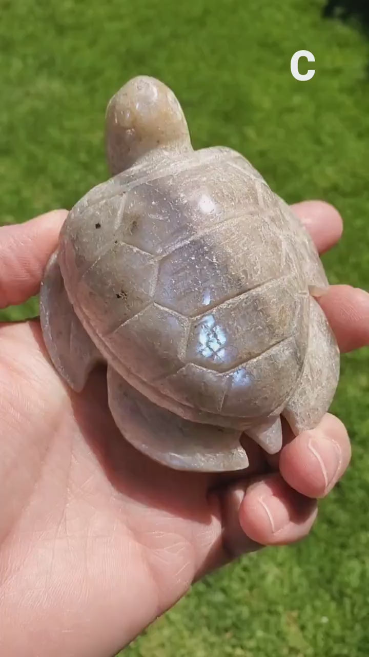 Flashy Moonstone Turtle with Sunstone - Uplifting, Raises Vibration, Feminine Energy, Empowering - Flashy Crystal Turtle Healing Gemstone