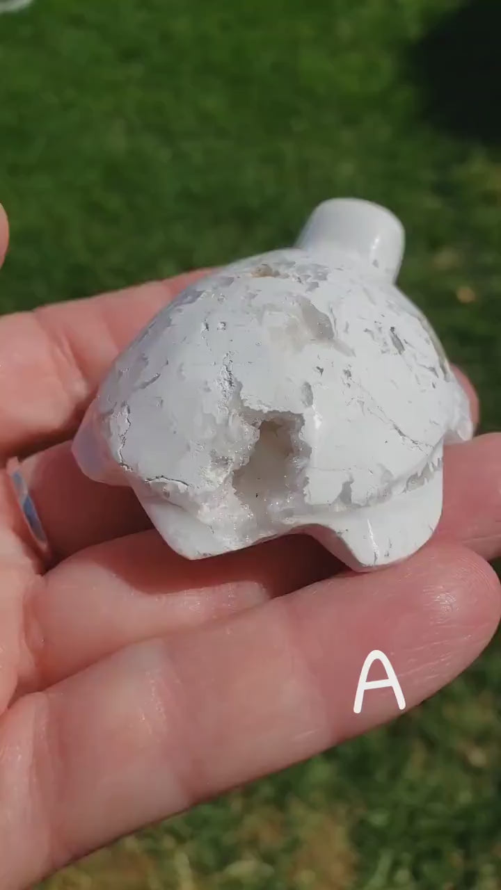 Snow Agate Turtle - Balances Females Ying Yang Energy - White Plume Druzy Turtle Healing Crystals Gemstones