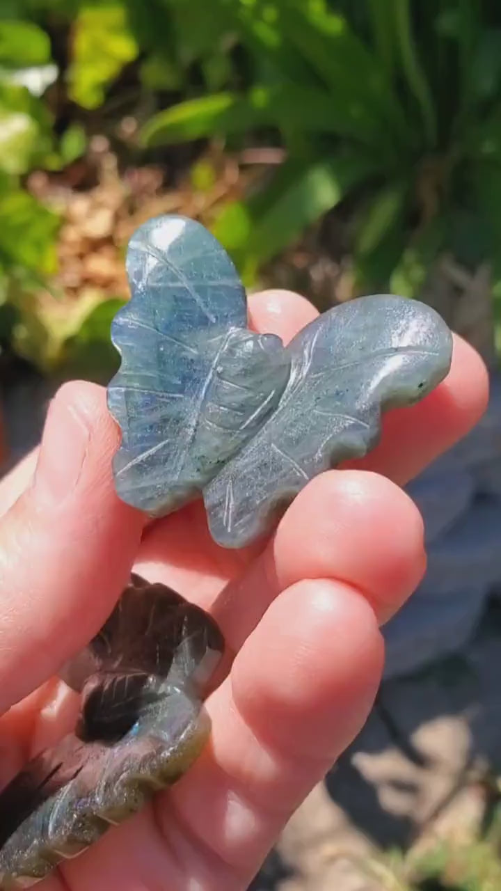 Cute Labradorite Butterfly Set of 2 - Awareness, Connection, Intuition, Wisdom - Flashy Crystal Butterfly Healing Gemstone