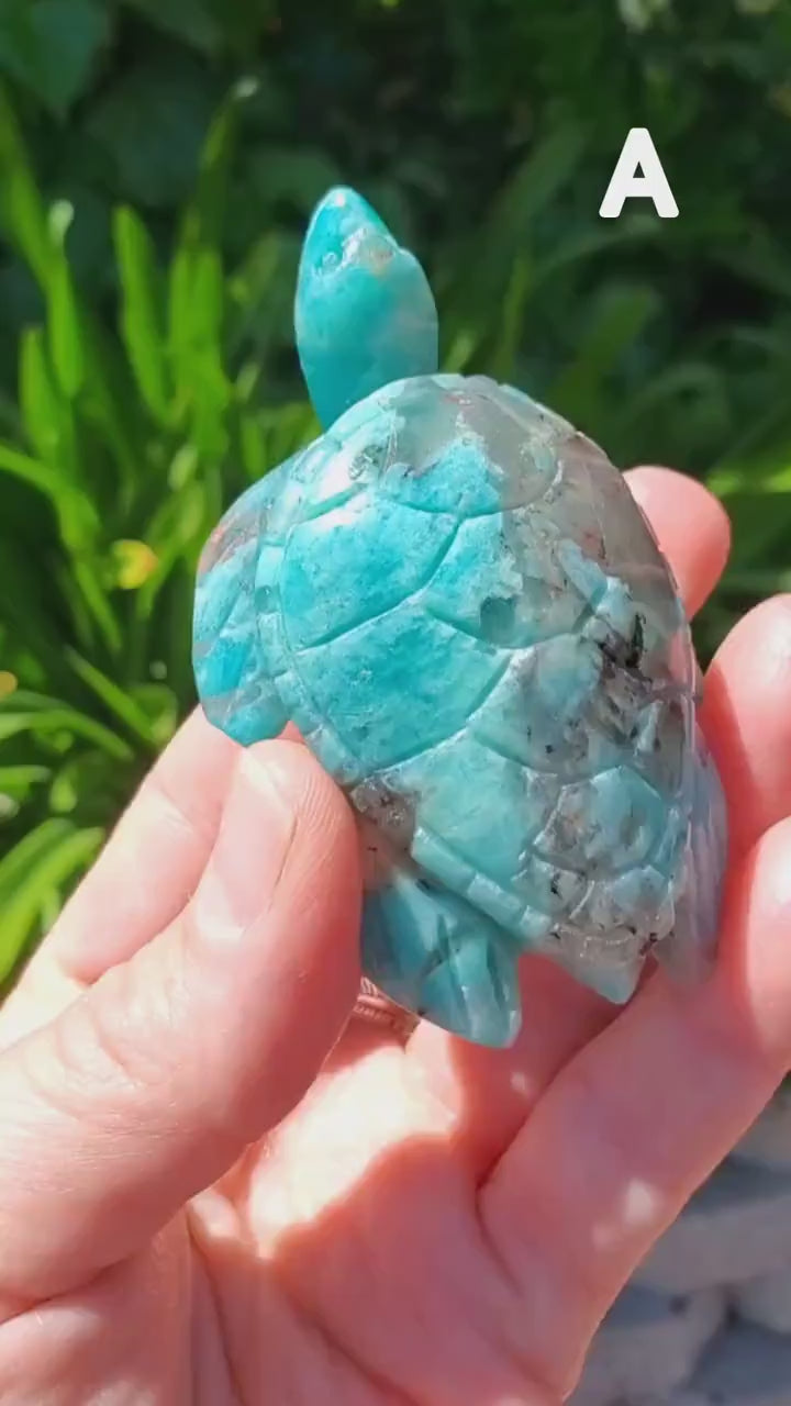 Amazonite Turtle with Smoky Quartz - Calming, Courage, Truth, Compassion - Amazonite Crystal Turtle Healing Gemstones Sea Life
