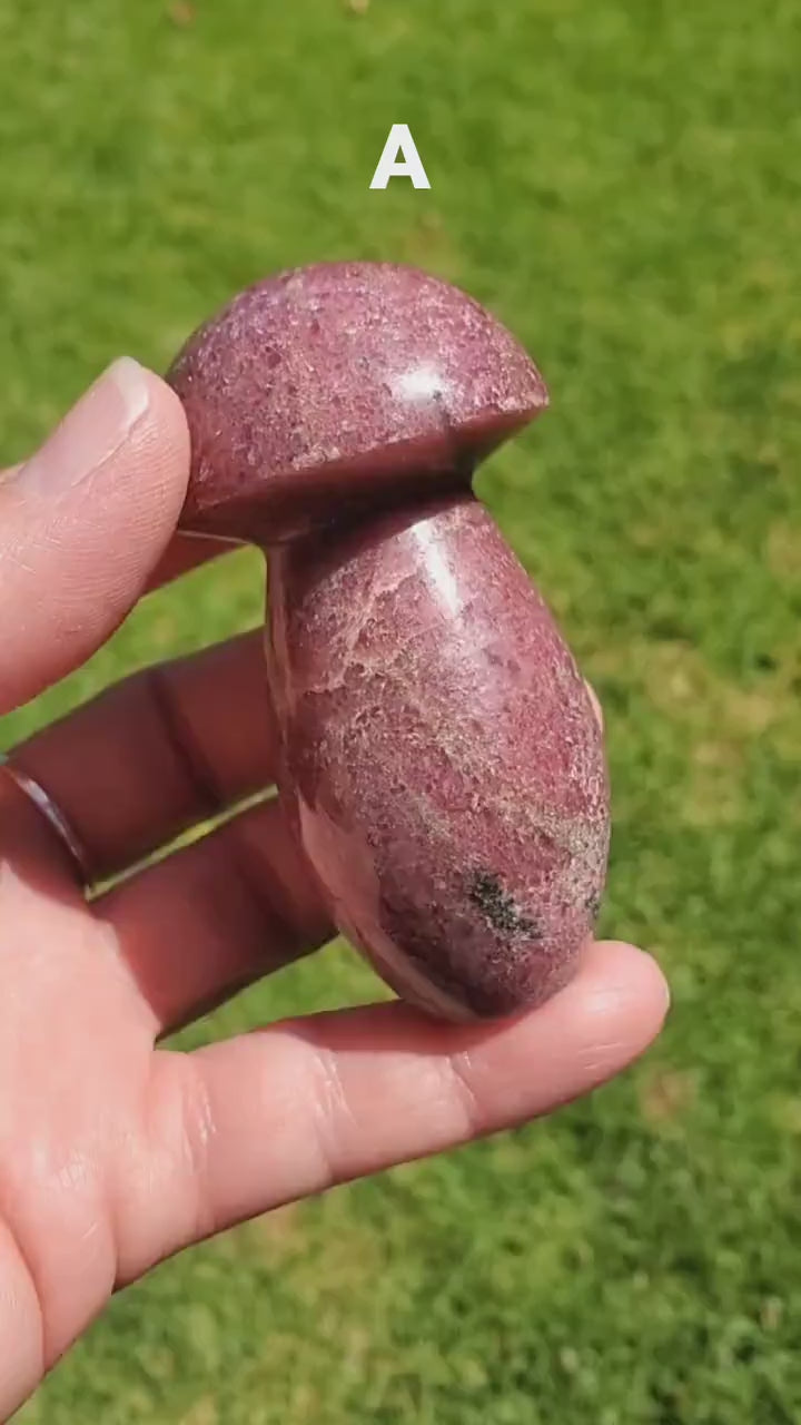 Chunky Rhodonite Mushroom - Self Love, Balance, Joy, Happiness - Pink and Black Crystal Mushie Healing Crystal Gemstones