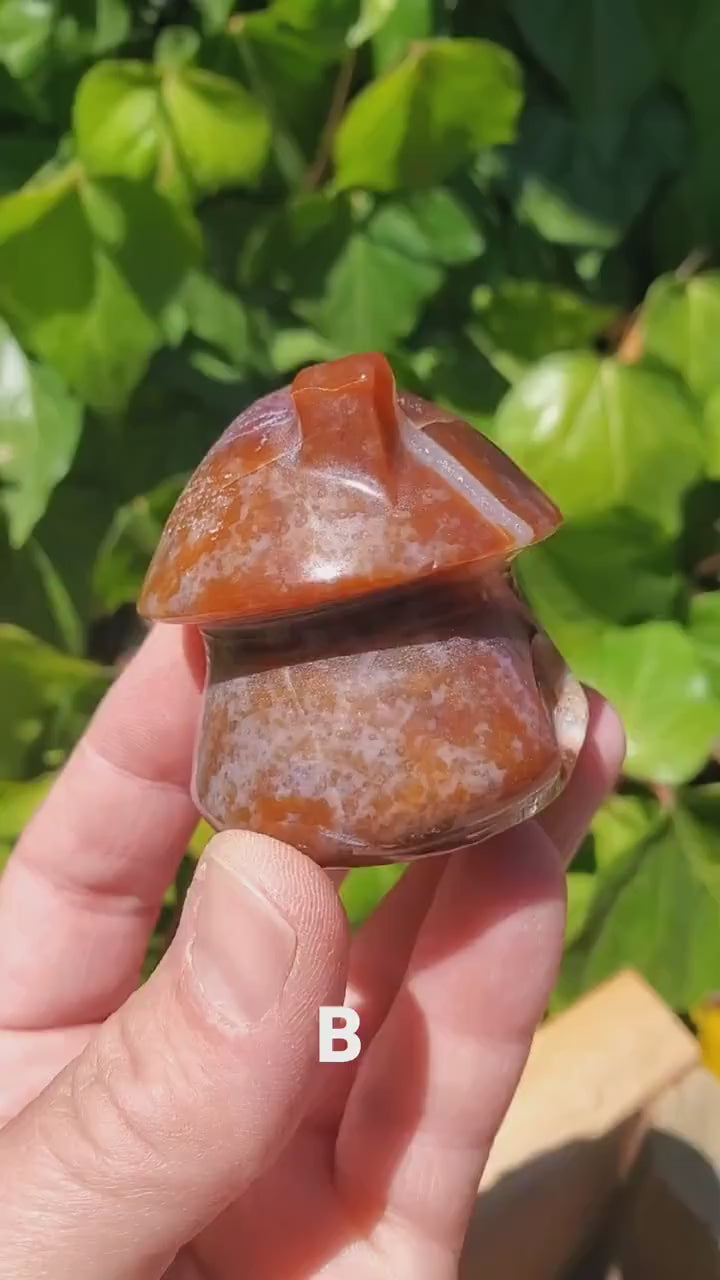 Ocean Jasper Mushroom House - Strength & Renewal - Jasper Crystal Carved Mushie House Healing Crystals Gemstones