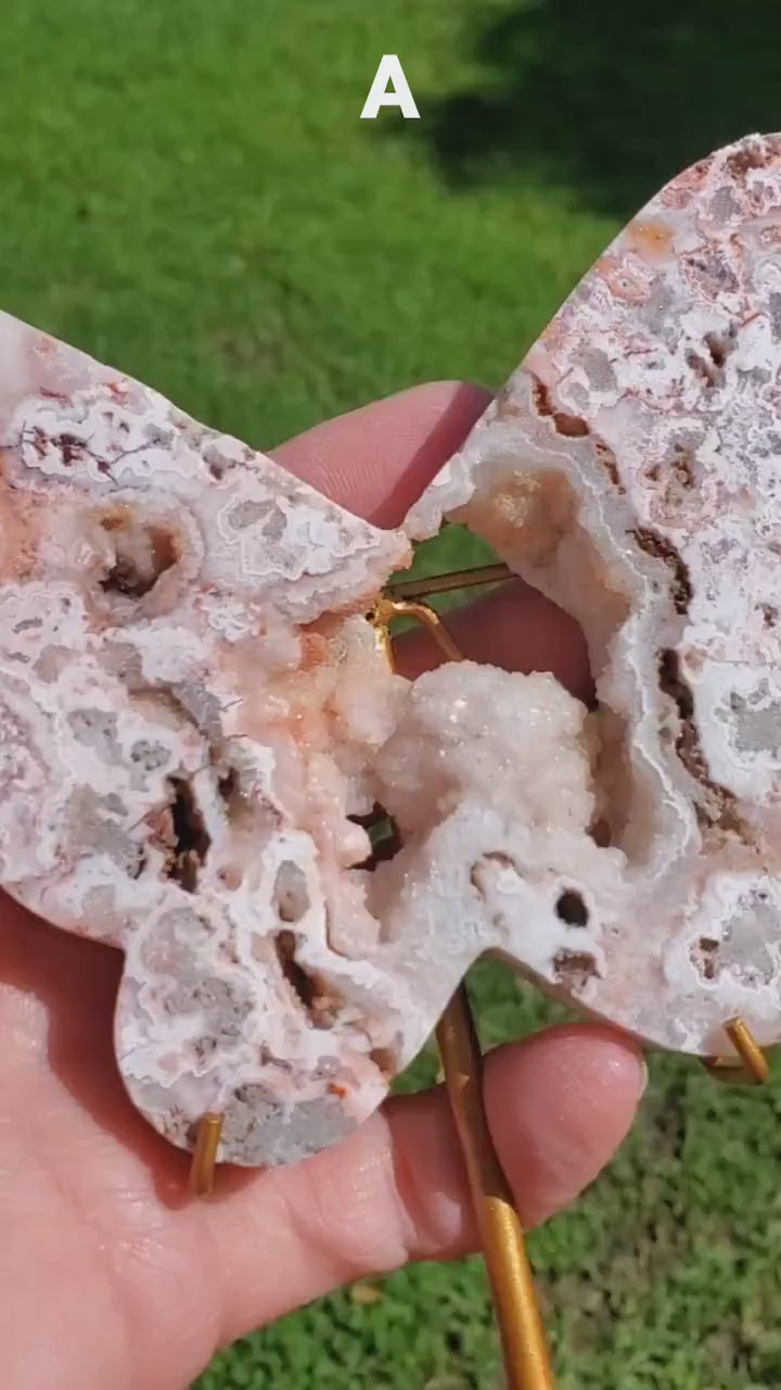 Pink Lace Agate Butterfly on Stand - Balance of the Physical, Mental & Emotional - Pink Agate Crystal Butterfly Healing Gemstone