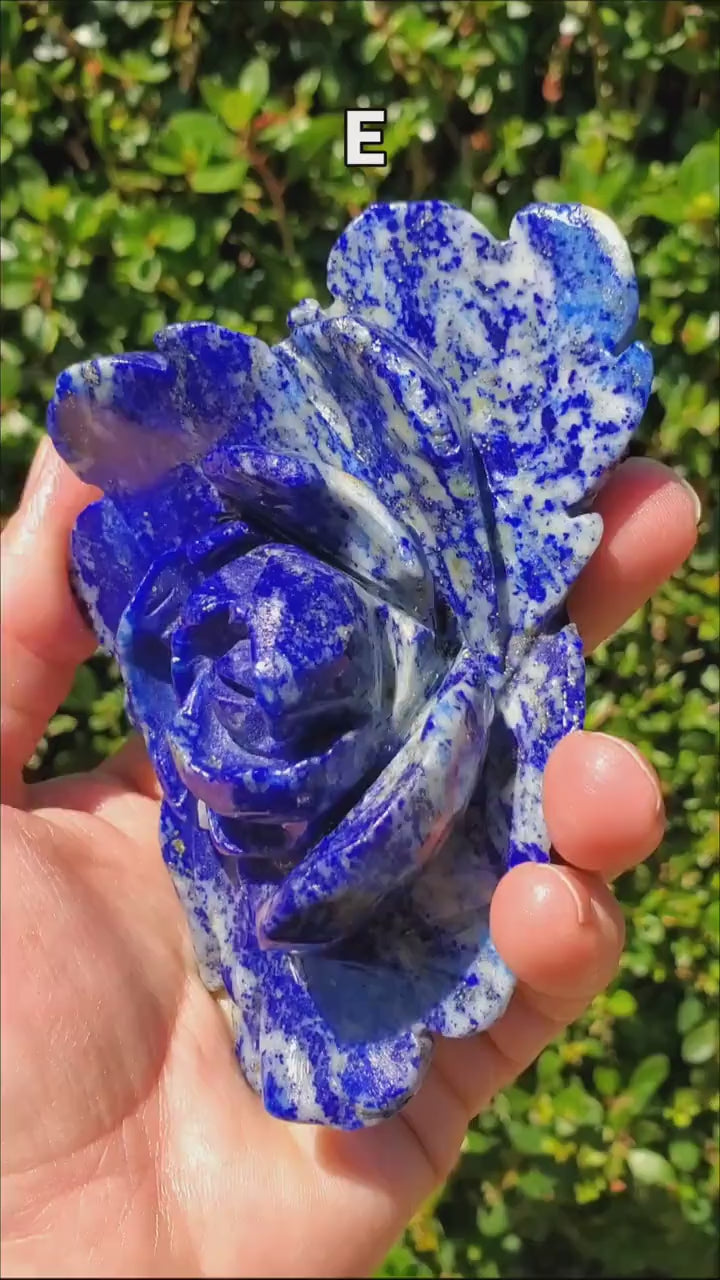 Big Lapis Lazuli Rose - Speak Your Truth, Communication, Personal Power - Blue Crystal Flower Stone Healing Gemstone Statement