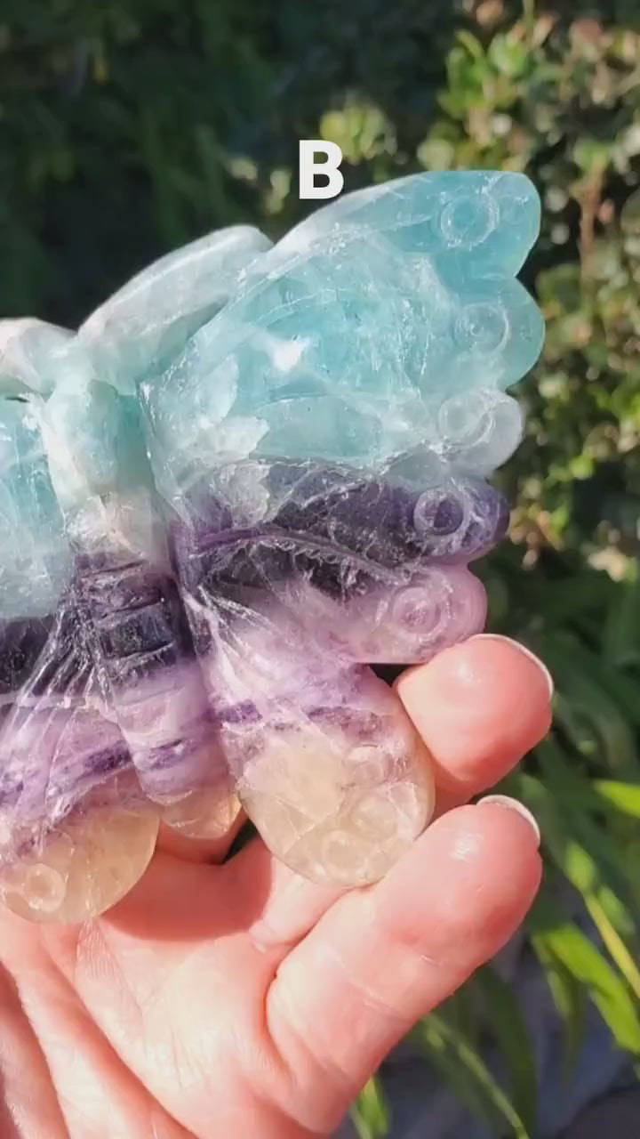 Beautiful Rainbow Fluorite Butterfly - Mental Clarity, Stability, Concentration, Protection - Fluorite Healing Butterfly Crystal